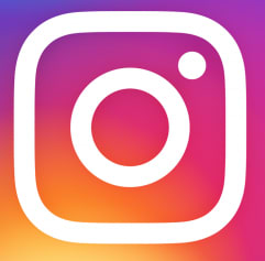 Instagram icon - Live Palo Townhomes