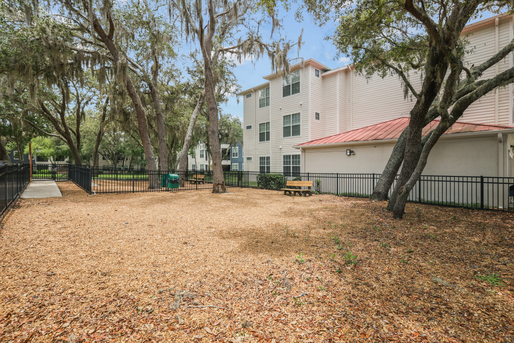 Outdoor space with dog area at Lantower Cypress Creek in Lutz, Florida