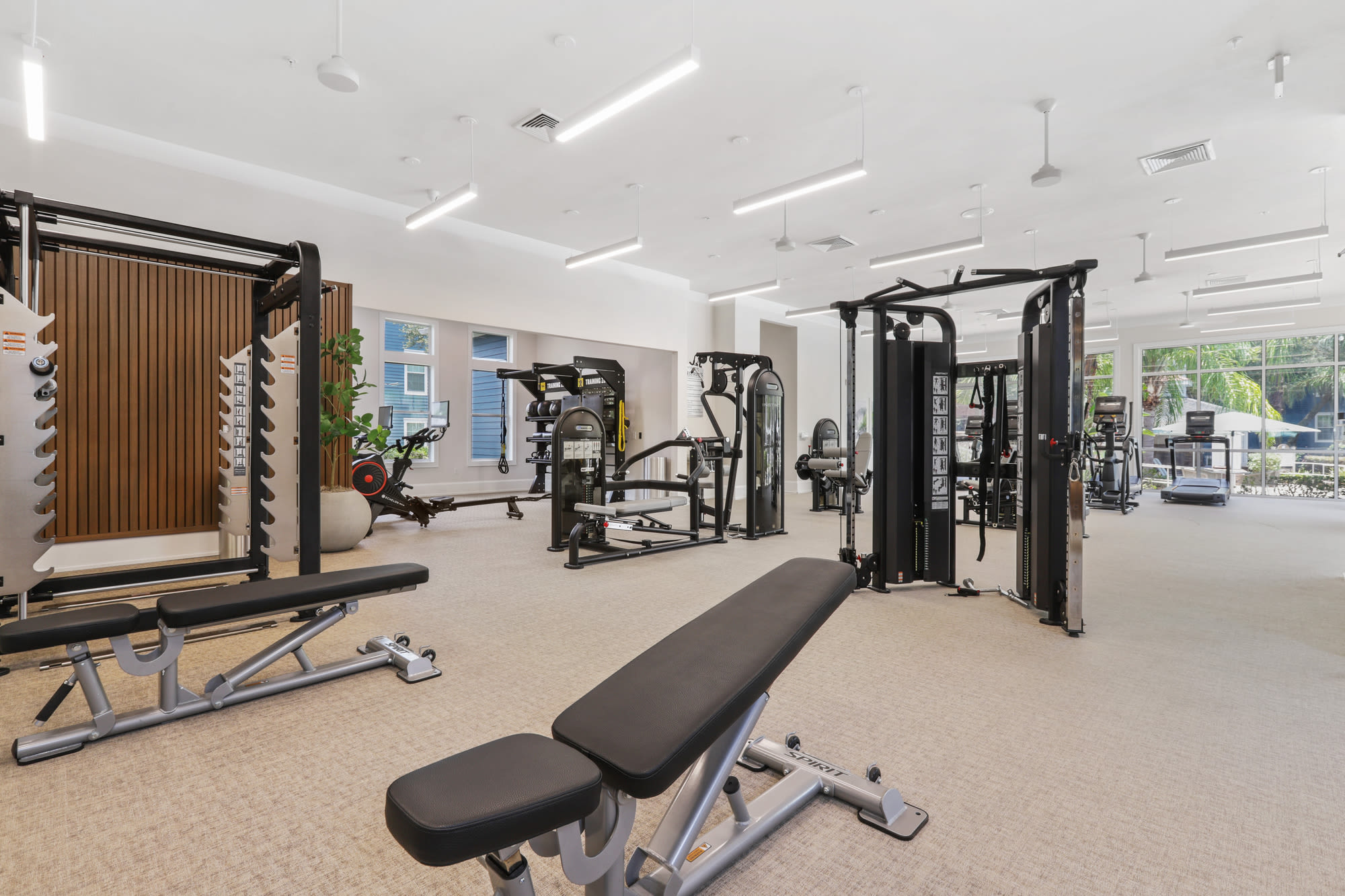 Fitness center with workout machines at Lantower Cypress Creek in Lutz, Florida