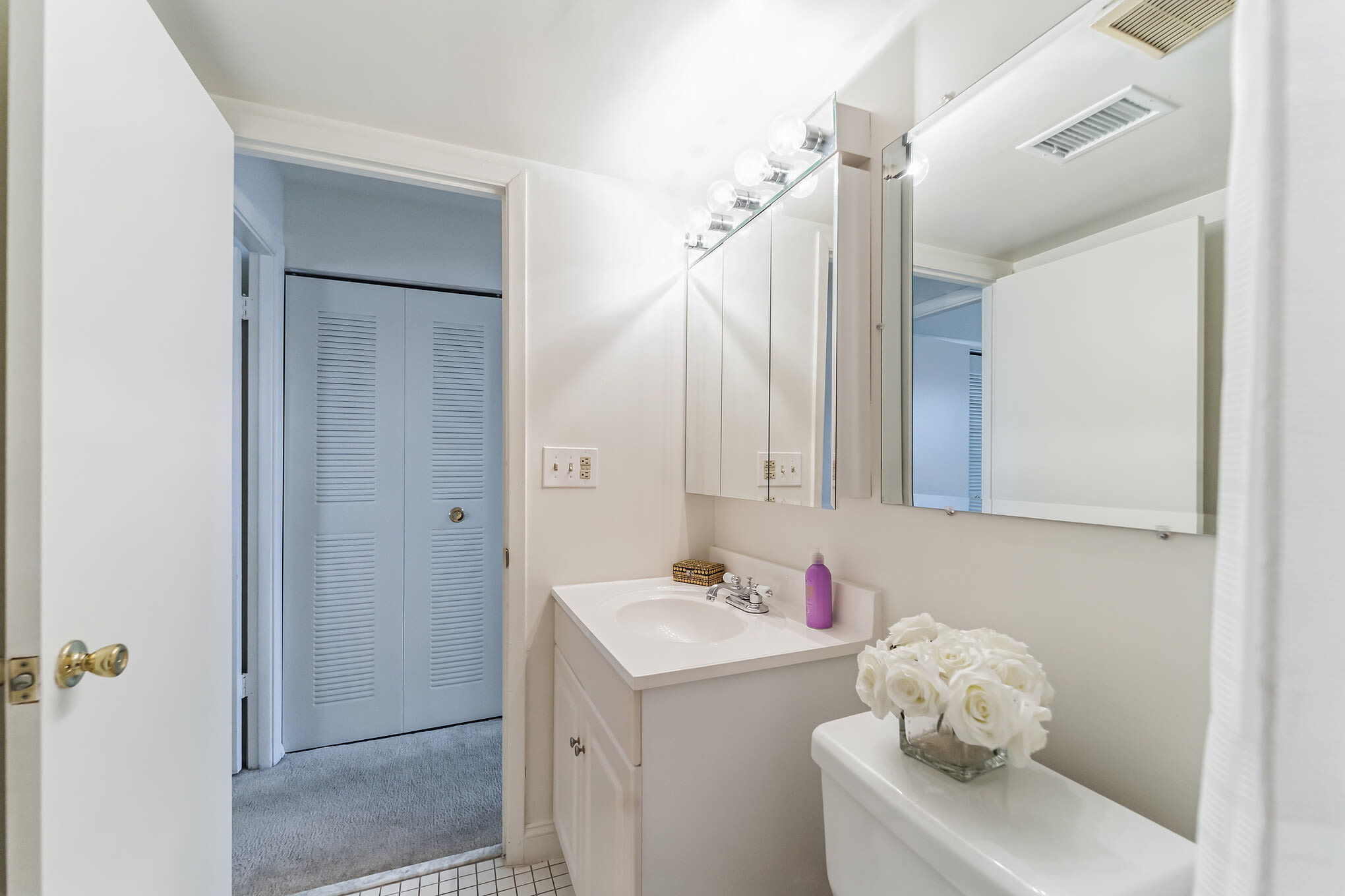 Bathroom with large vanity at Eagle Rock Apartments at Bel Air North in Forest Hill, Maryland