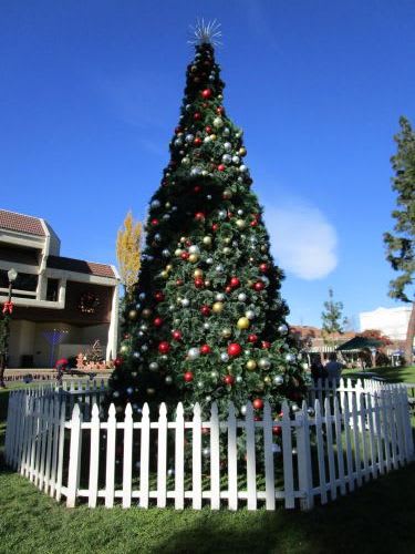 The Chino Youth Christmas Parade and Festival
