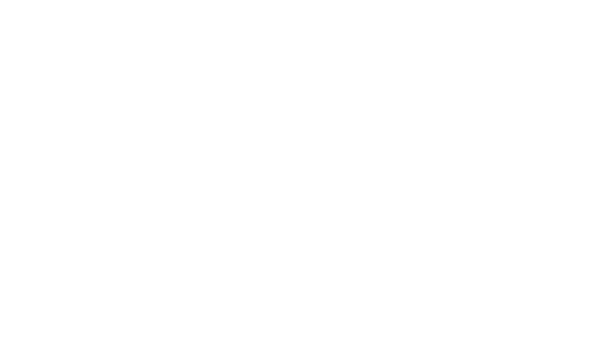 Braden Fellman Group Ltd