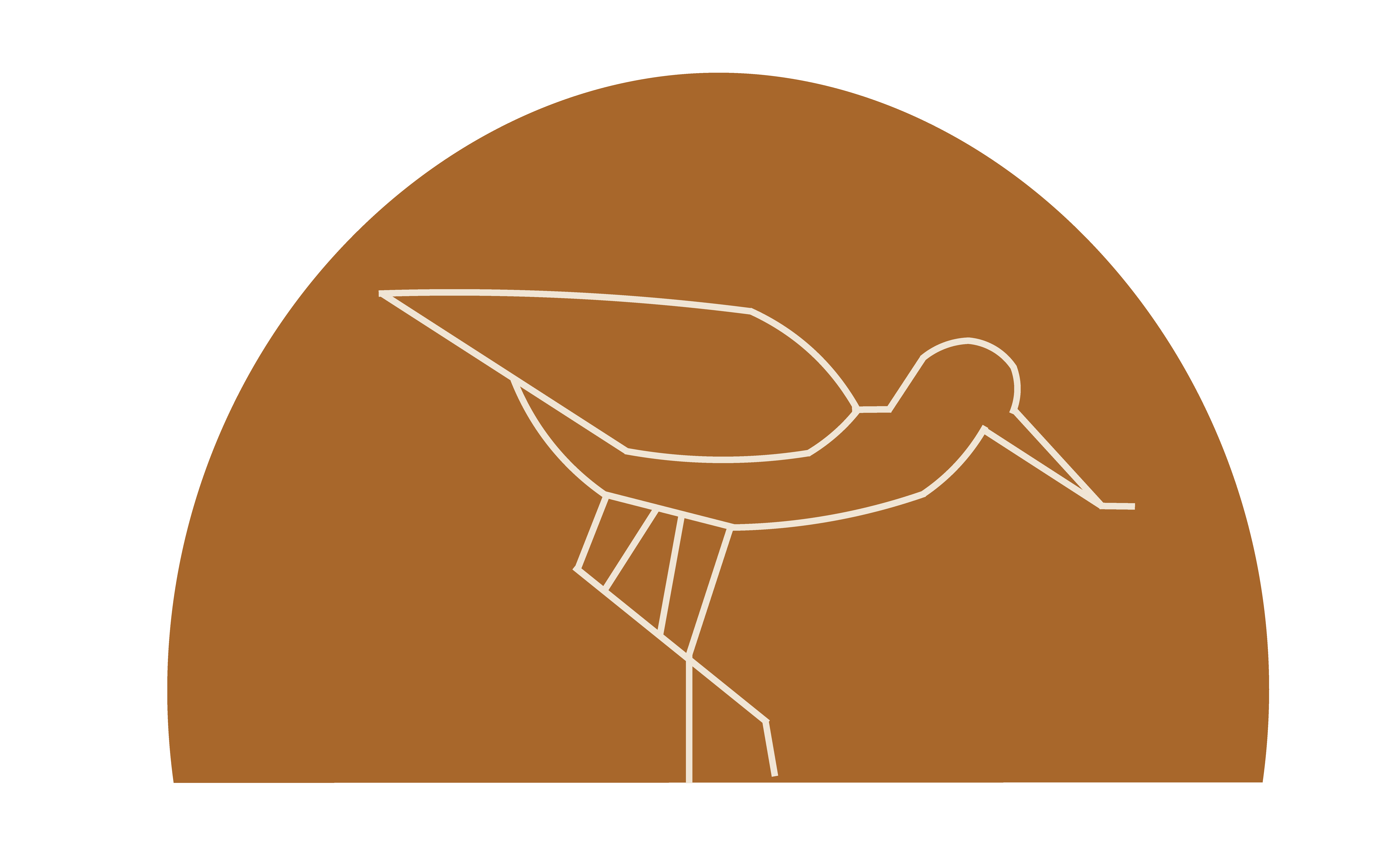 Avocet at Melbourne in Melbourne, Florida bird icon