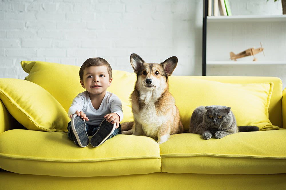 Child on couch with dog and cat at Bacarra Apartments in Raleigh, North Carolina