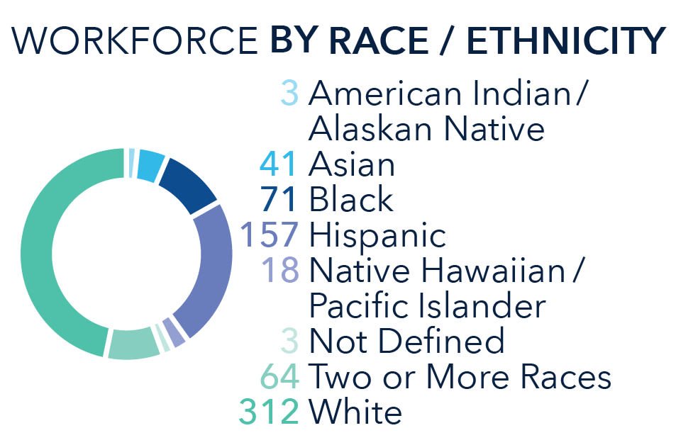 infographic ethnicity 