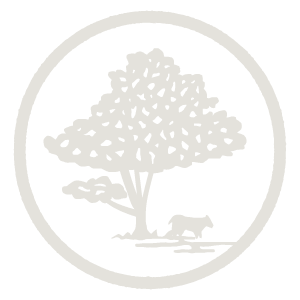 logo at The Maggie Towns in Jacksonville, Florida 
