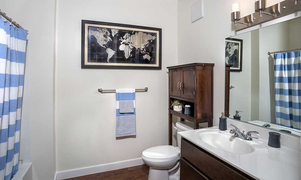 Apartment bathroom in Washington, DC