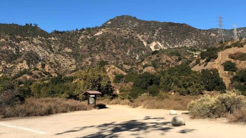 5 Best Dog Parks in Los Angeles, CA