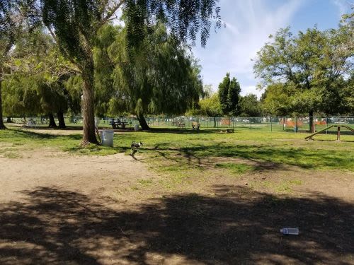 5 Best Dog Parks in Los Angeles, CA
