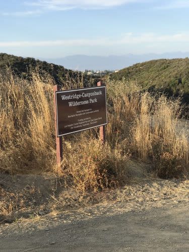 5 Best Dog Parks in Los Angeles, CA