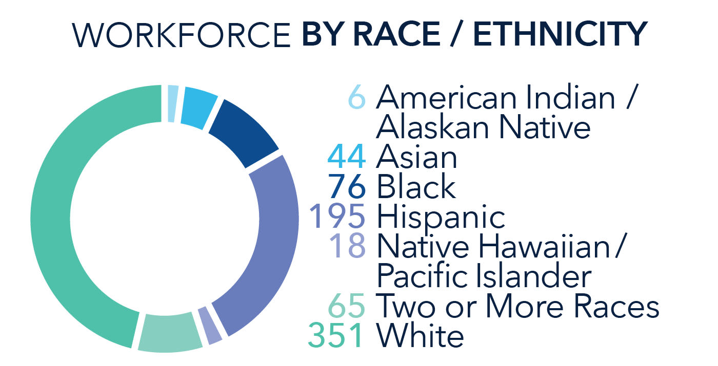 infographic ethnicity 