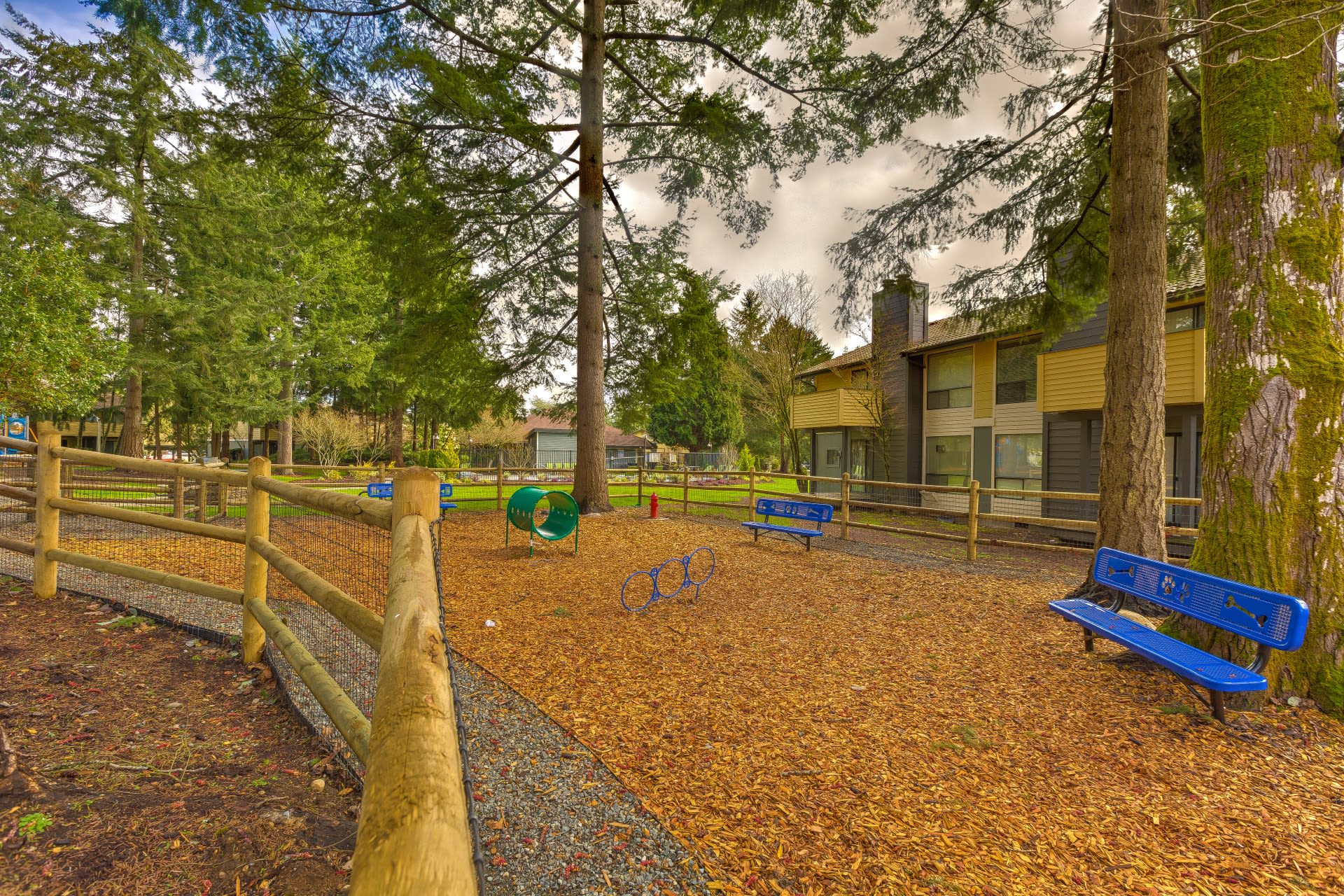 pet area at The Commons in Federal Way, Washington