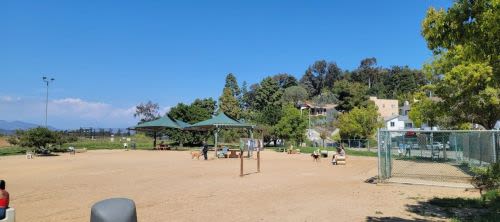 5 Best Dog Parks in Los Angeles, CA