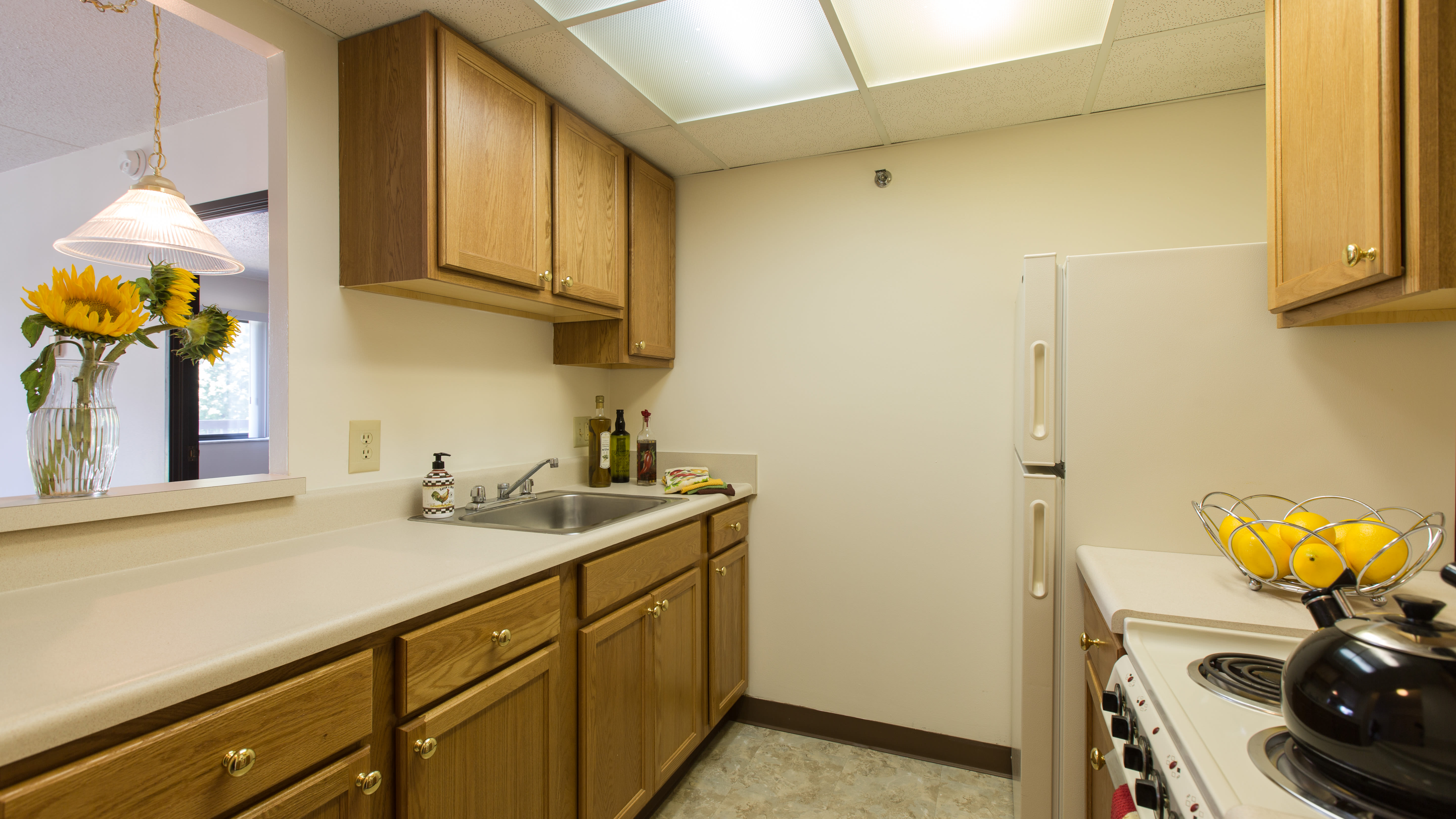 Living space with wall-to-wall carpeting and leather seating at Ziegler Place in Livonia, Michigan