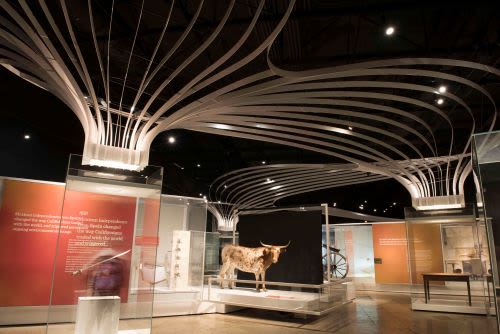 Best Museums in Los Angeles