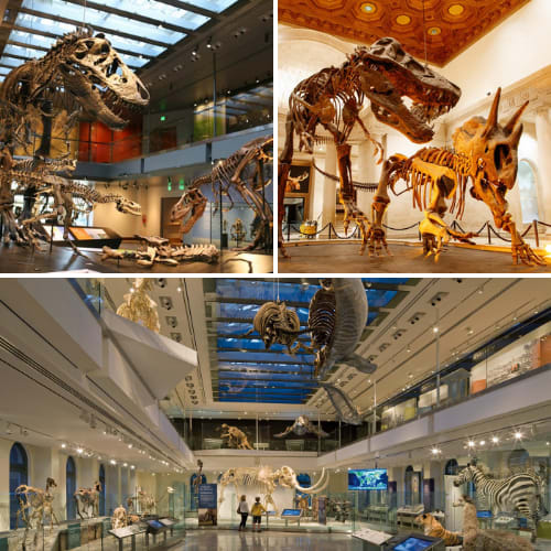 Best Museums in Los Angeles