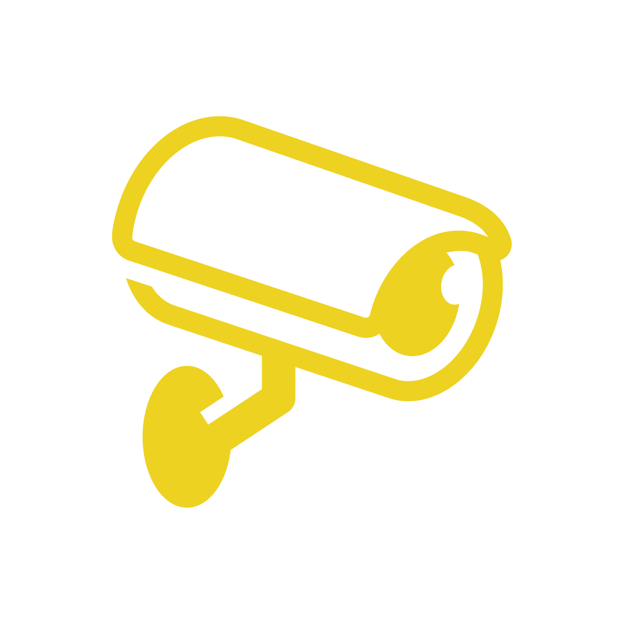 Security camera graphic