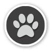 View the pet policy at The Beacon in Fremont, California