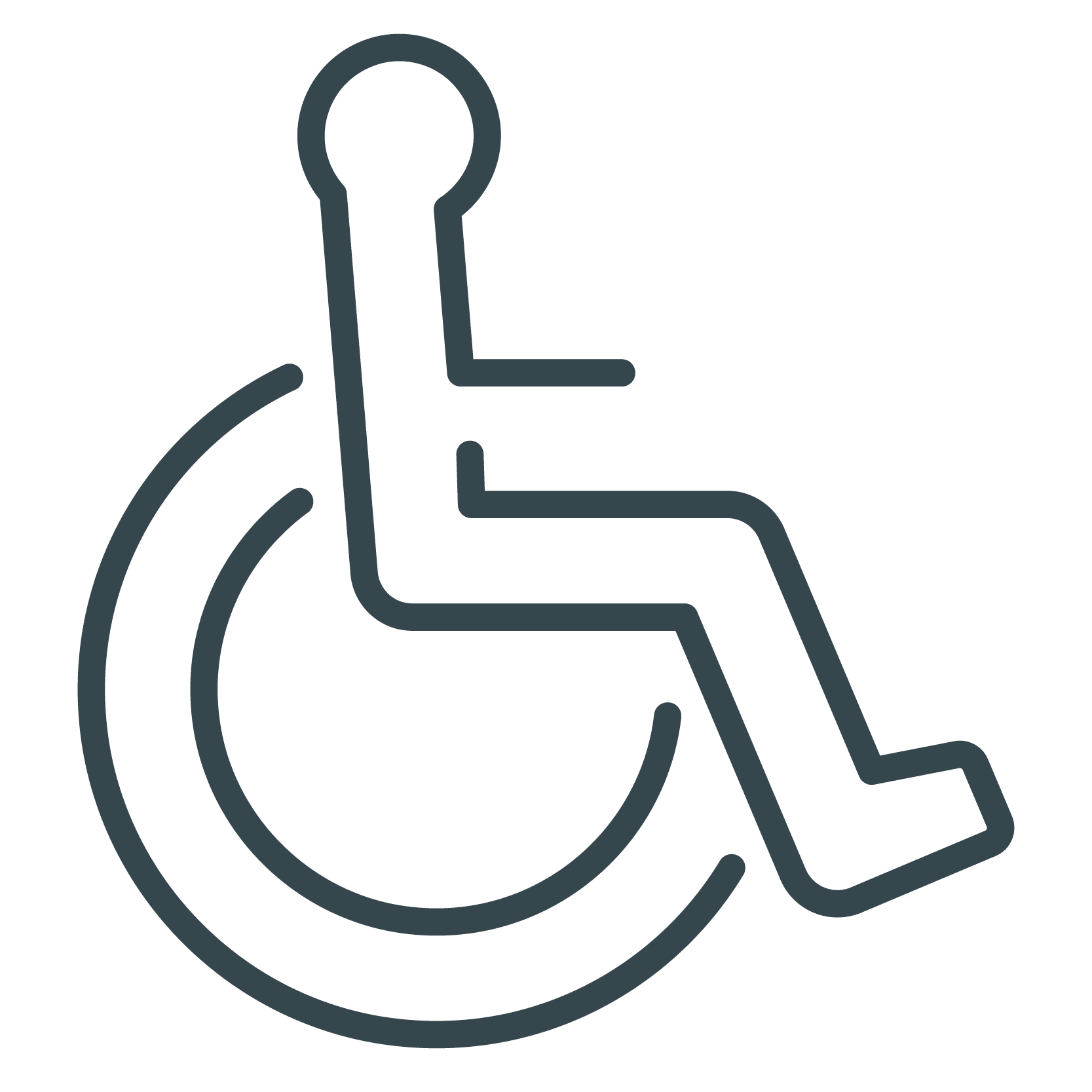 Disability icon