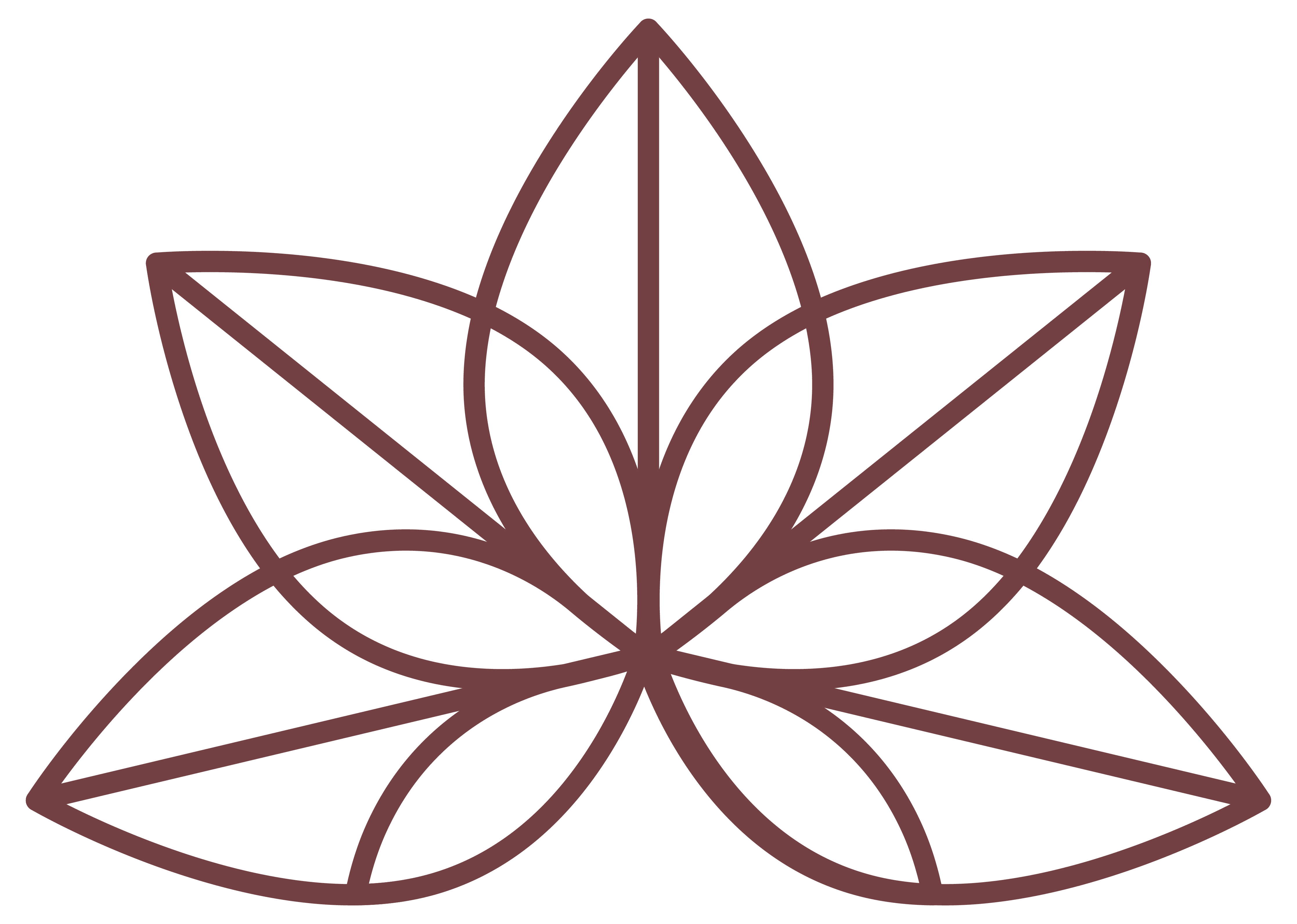 Flower icon for The Addie