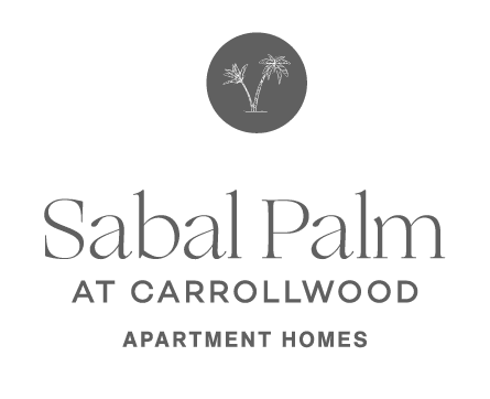 Sabal Palm