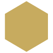 Avila icon