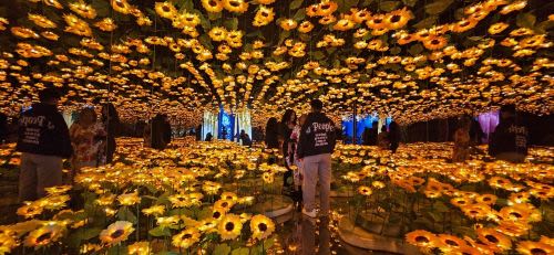 A Nighttime Family Adventure At Imaginarium