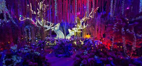A Nighttime Family Adventure at Imaginarium