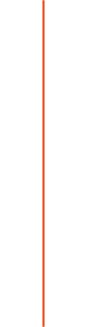 Divider graphic for our website at CAPREIT in North Bethesda, Maryland