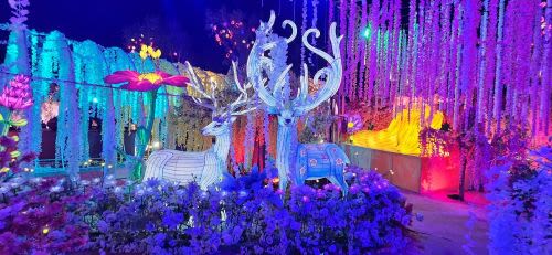 A Nighttime Family Adventure at Imaginarium