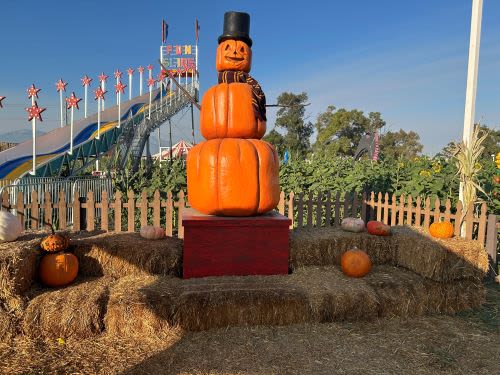 Discovering Frosty’s Pumpkin Patch in Chino, California