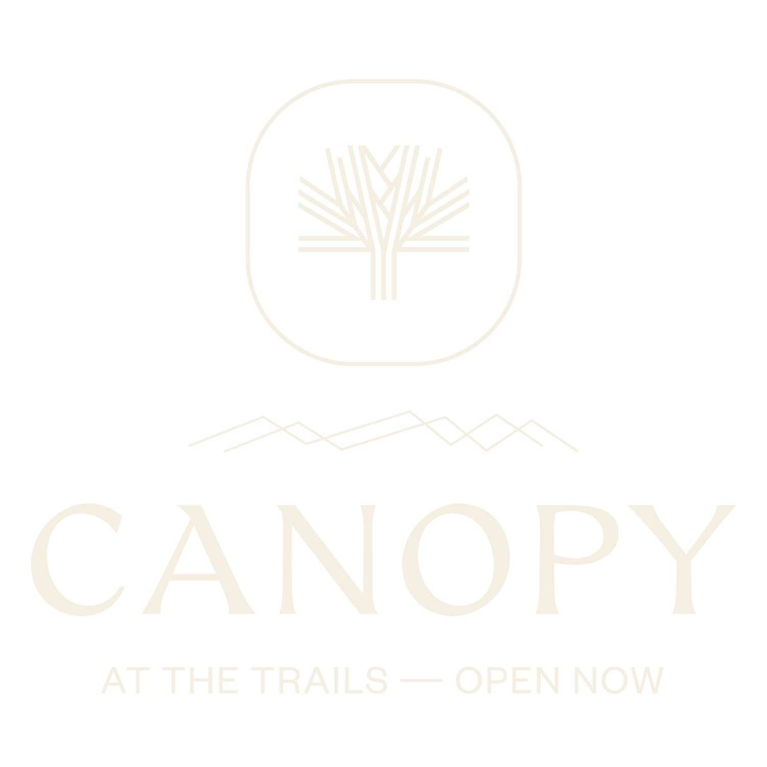 Canopy at the Trails Townhomes
