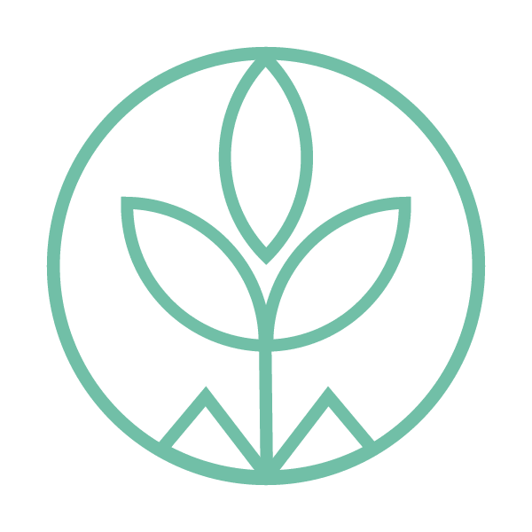 Truewood by Merrill, Charlotte Center logo