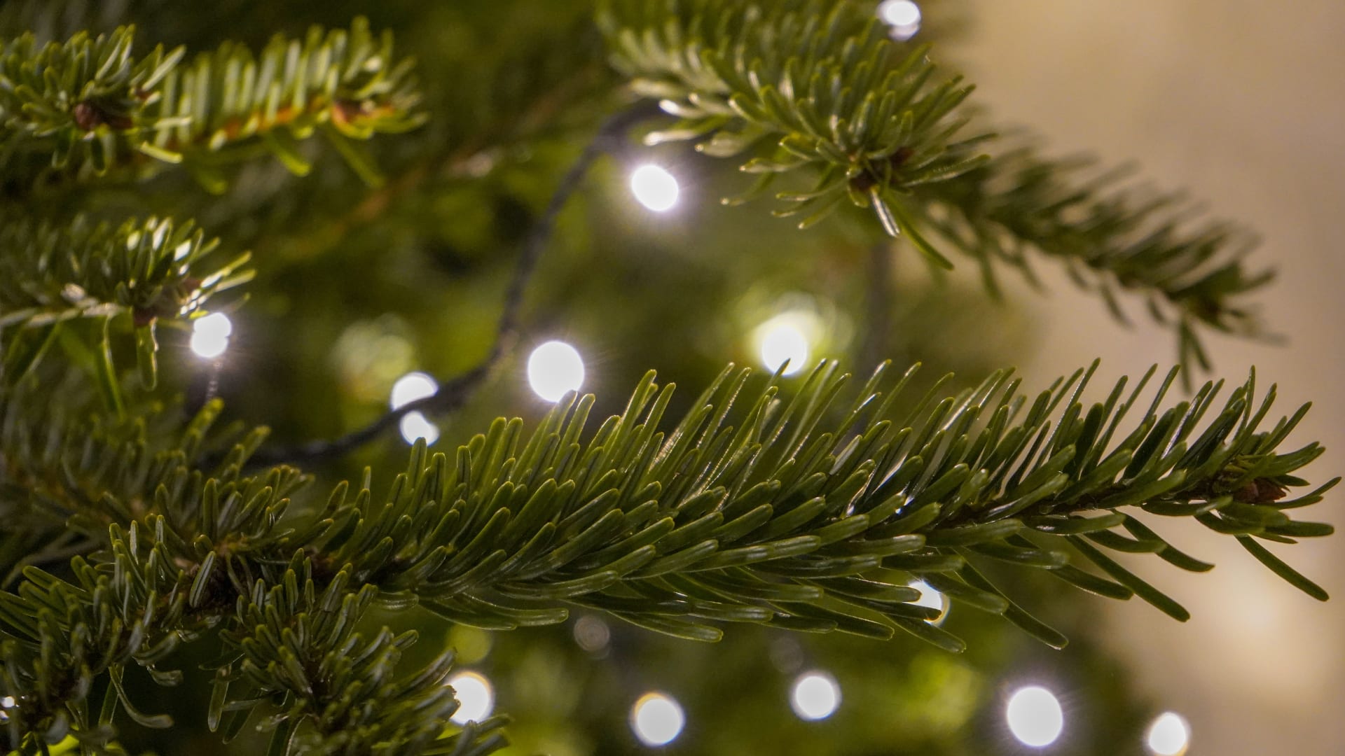 Event two for 28 Exeter at Newbury