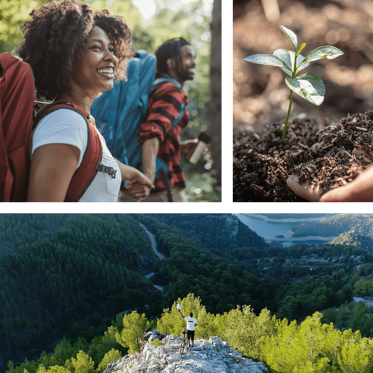 Trees for a cause and StorQuest Express Self Service Storage in Gilroy, California graphic