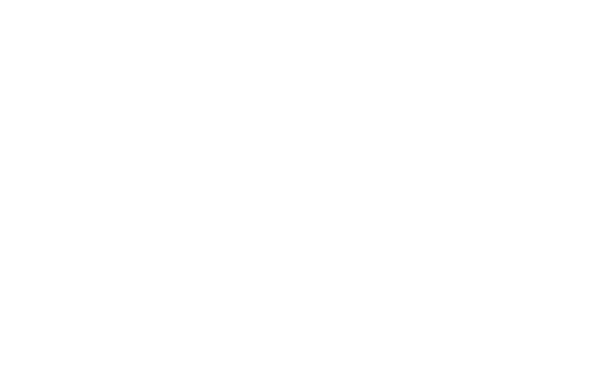 The Pauls Corporation
