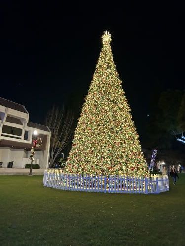 Chino Christmas Tree Lighting Ceremony and Festivities