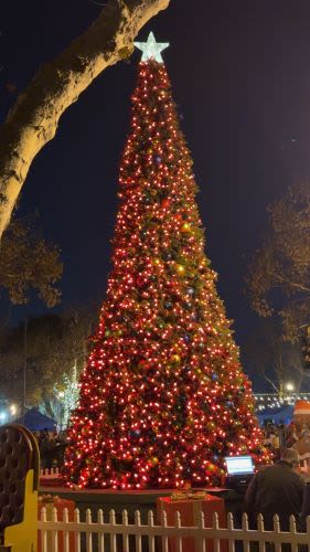 A Sparkling Tradition: Lakewood's 11th Annual Christmas Tree Lighting Brings Joy to All 