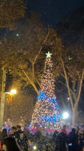 A Sparkling Tradition: Lakewood's 11th Annual Christmas Tree Lighting Brings Joy to All 