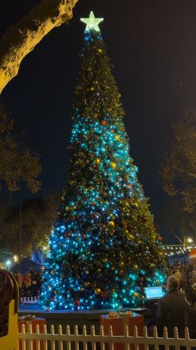 A Sparkling Tradition: Lakewood's 11th Annual Christmas Tree Lighting Brings Joy to All 