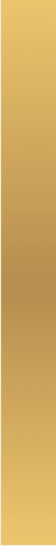 Gold Line Graphic