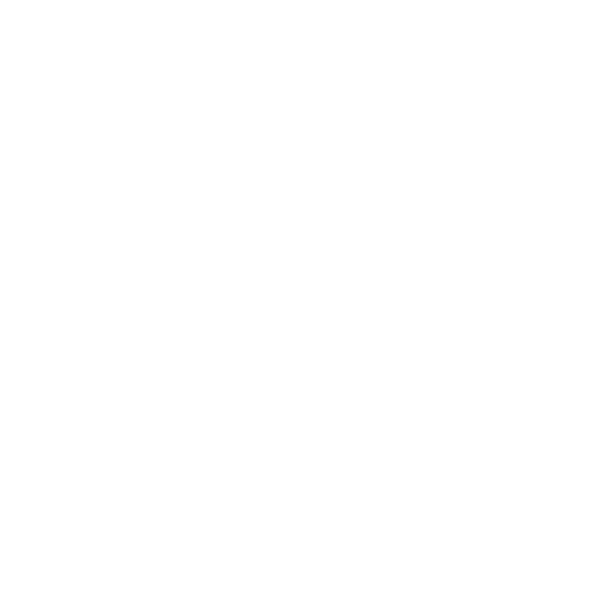 Shopping Bag Icon