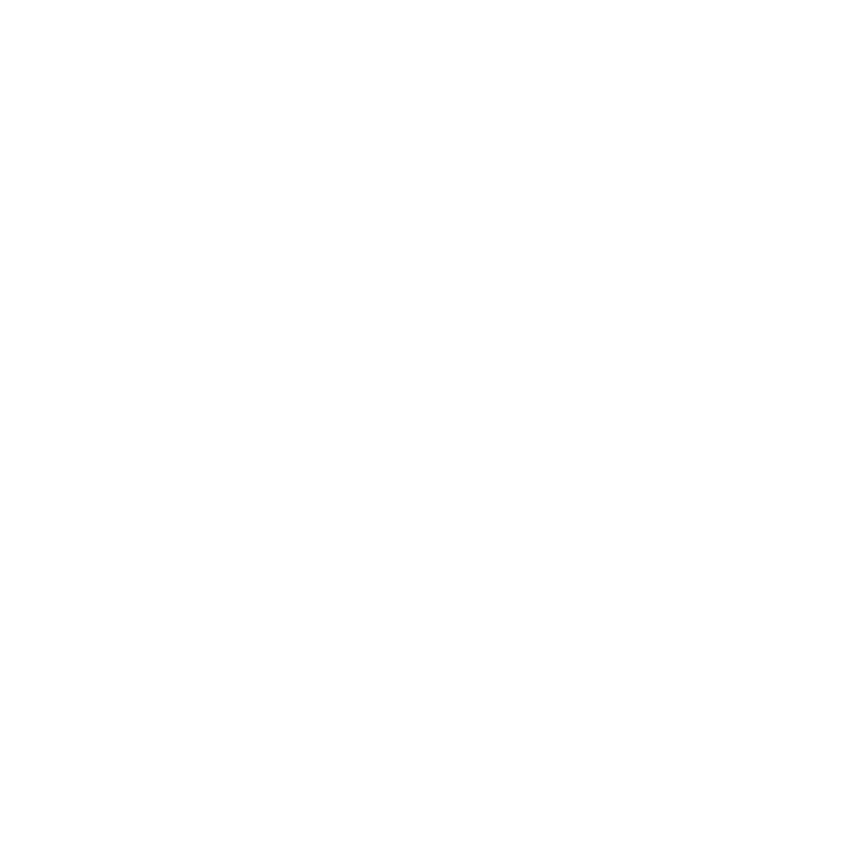 Walk Icon