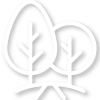 Tree graphic at Westmeadow Peaks Apartments in Colorado Springs, Colorado