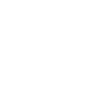 Car icon