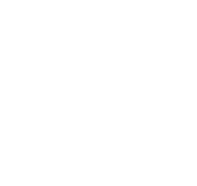 Take Assessment icon