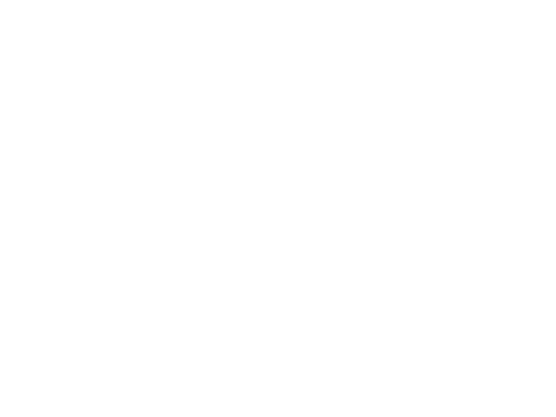 Reviews Icon