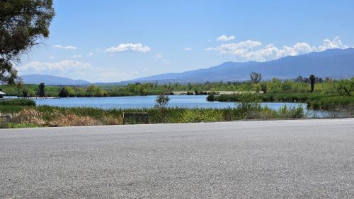 Chino, California: A Community Rooted in Heritage and Growth