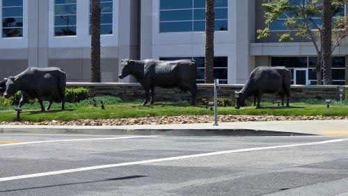Chino, California: A Community Rooted in Heritage and Growth