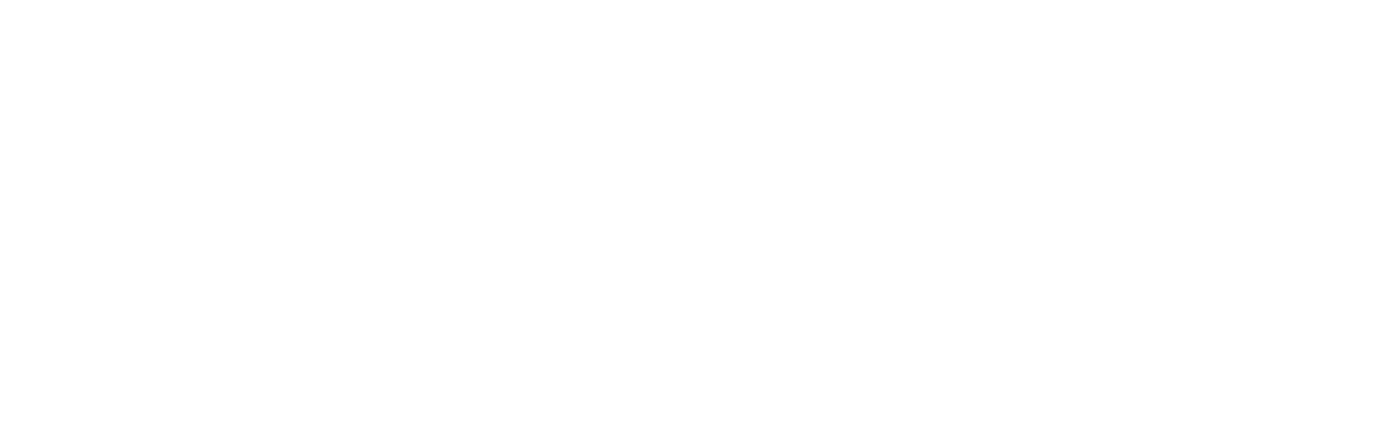 SHELTER ASSET MANAGEMENT LLC